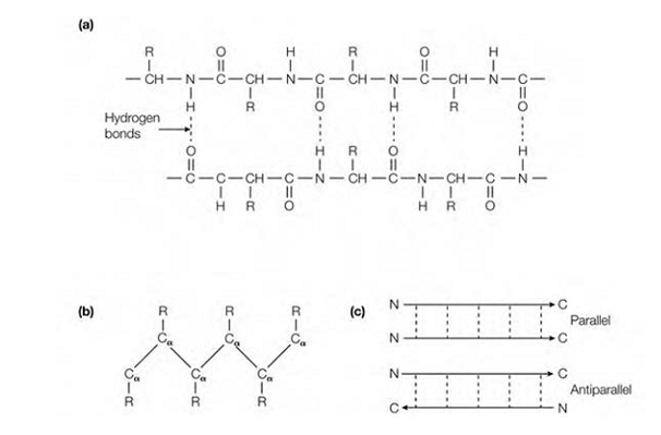 422_Secondary structure 1.png